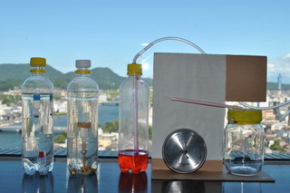 gougin12080502.jpg