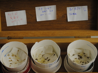 hako10120116.jpg