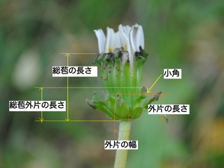 keisoku10111333s.jpg