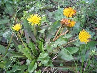 08032425.JPG