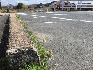170401074kirikawa_kibi.jpg