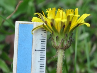 20220406_404.jpg