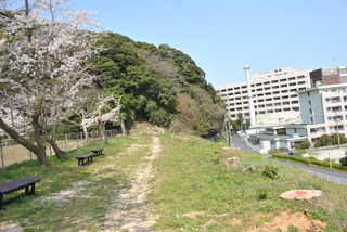DSC_0387.JPG