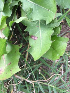 ΃ETL゙IMG_3980.jpg