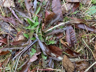 IMG_6751.jpeg