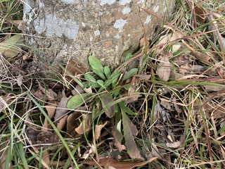 IMG_6761.jpeg