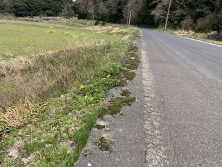 IMG_7109.jpeg