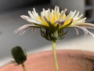 IMG_8058.jpeg