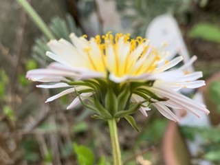 IMG_8130 2.jpeg
