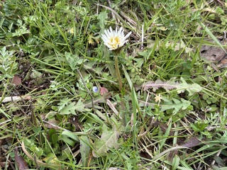 IMG_8980.jpeg