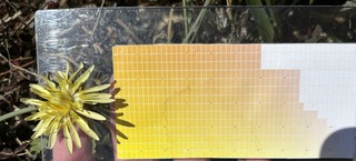 IMG_9040.jpeg