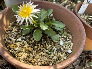 IMG_9046.jpeg