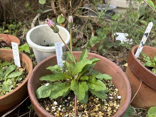 IMG_9071.jpeg