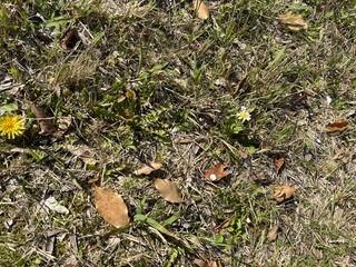 IMG_9111.jpeg