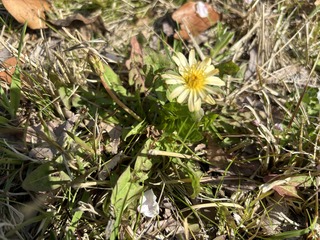 IMG_9112.jpeg