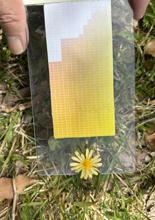 IMG_9122.jpeg