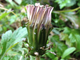 kisyodai12012103.jpg