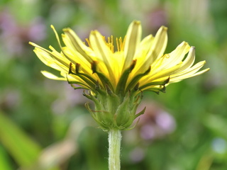 kisyodai12041521.jpg