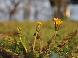 kita11041735.jpg