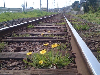 rail10040688.jpg