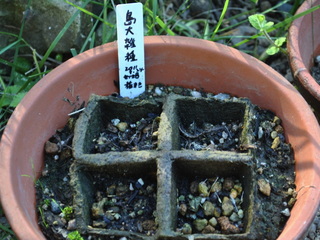 shimadai11092401.jpg