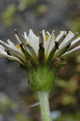 simojyu110050681.jpg