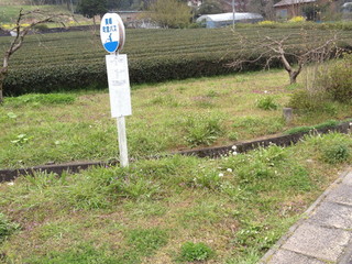 takihara13041044.jpg