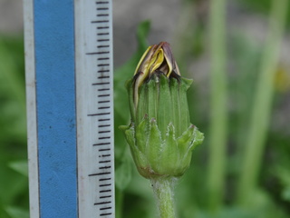 yosida12050118.jpg
